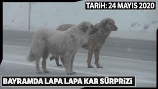 Erzuruma Ramazan Bayramının İlk Günü Lapa Lapa Kar Yağdı
