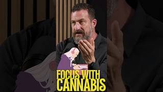 Does Cannabis cause Memory loss?