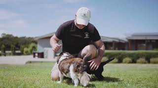 10 Merricks Beach Road, Merricks