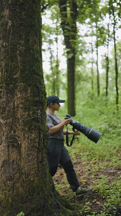 Walk into the wild and enjoy the wildlife. #wildlifephotography #nikon #aparupadey #short  #wildlife