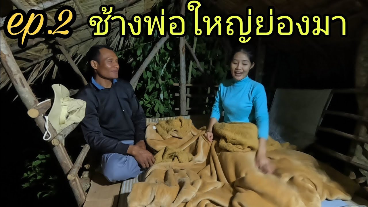 ep.2 นอนห้างต้นข่อยกับรจนา ตกดึกช้างพ่อใหญ่จอบย่องมาอยู่ไร่มันข้างๆ !! 1/10/66