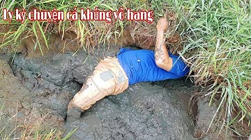 Bắt cá cạn mùa lúa chín và Ly kỳ với hang cá khủng | Bông lúa Miền Tây