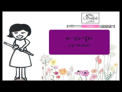 La campanella (Arr. for Flute, String Ensemble and Piano) - arr by Paganini from lizst