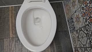 Taco Bell Men's Restroom with Ferguson Carlton Toilet 
