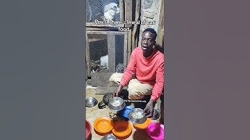 Every bit of your support counts. Click on the links in our bio to donate for any support 🙏#help