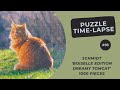 1000 pieces Jigsaw Puzzle | Boiselle Edition - Dreamy Tomcat | Time Lapse #93
