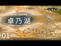 《我们的生物多样性——卓乃湖》看可可西里大美天地！带领你一同窥探卓乃湖畔隐秘的动物世界 EP01【CCTV纪录】