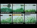 How to Paint Grasses Using Different Brushes by JM Lisondra