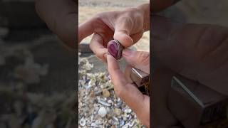 BEACH TREASURE HUNT GONE WILD! 💍 Ruby Ring + Jewelry Jackpot! #beachcleanup