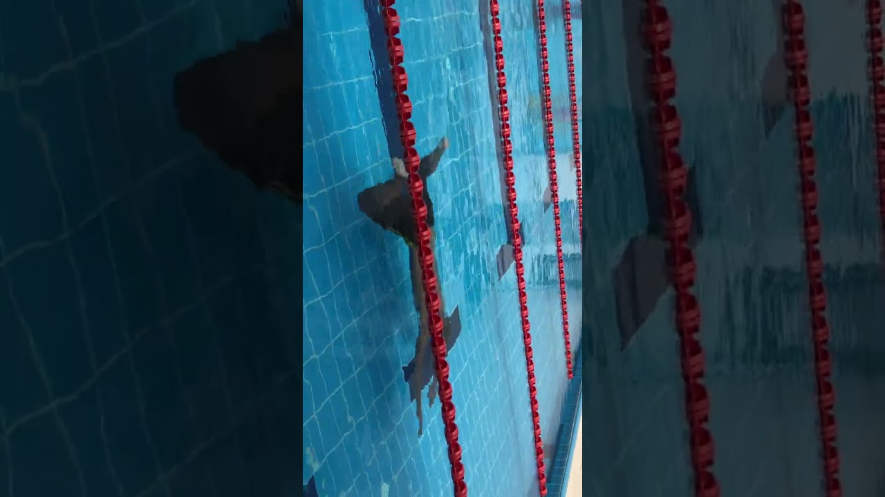 اثناء اختبارات دورات الانقاذ لازم تكون هادى ومركز