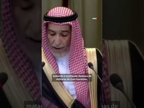 ‘Ações israelenses desumanizam os palestinos’, diz Arábia Saudita em Haia