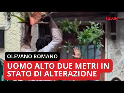 Video Uomo alto 2 metri in stato alterazione, feriti il sindaco e 4 carabinieri