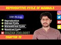 Reproductive Cycle of Mammals|Miller and Harley Zoology Chapter 22