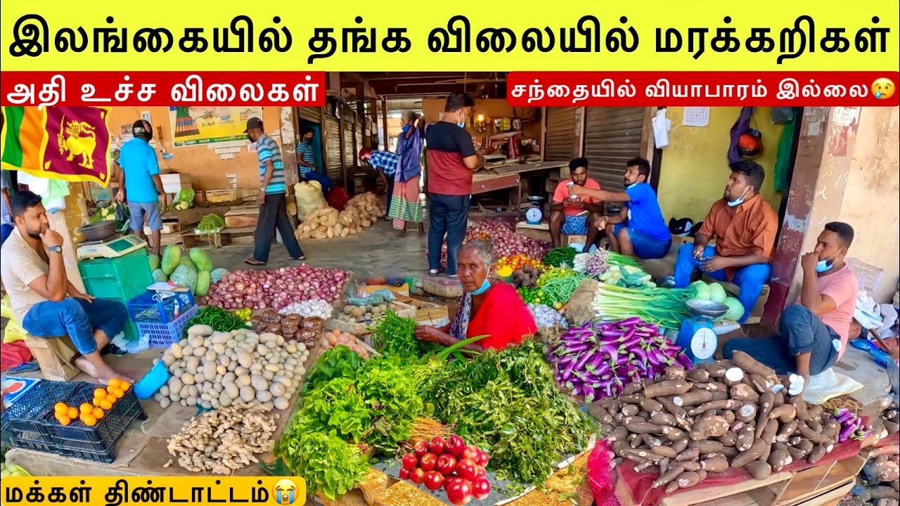 இலங்கையில் தங்க விலையில் மரக்கறிகள் Sri Lanka Vegetable Price | Jaffna Suthan
