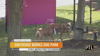News SouthSide Works Dog Park is a great recreational space for dogs and their humans