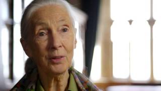 Code of Survival - or the End of Genetic Engineering - TRAILER ENGLISH