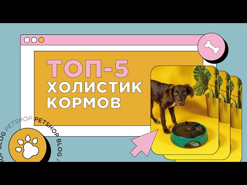 Топ-5 холистик кормов для кошек и собак. Самый лучший корм для домашних животных.