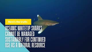 Oceanic Whitetip Shark Call to Action- Unity College MARI 510: Cons. of Marine Predators