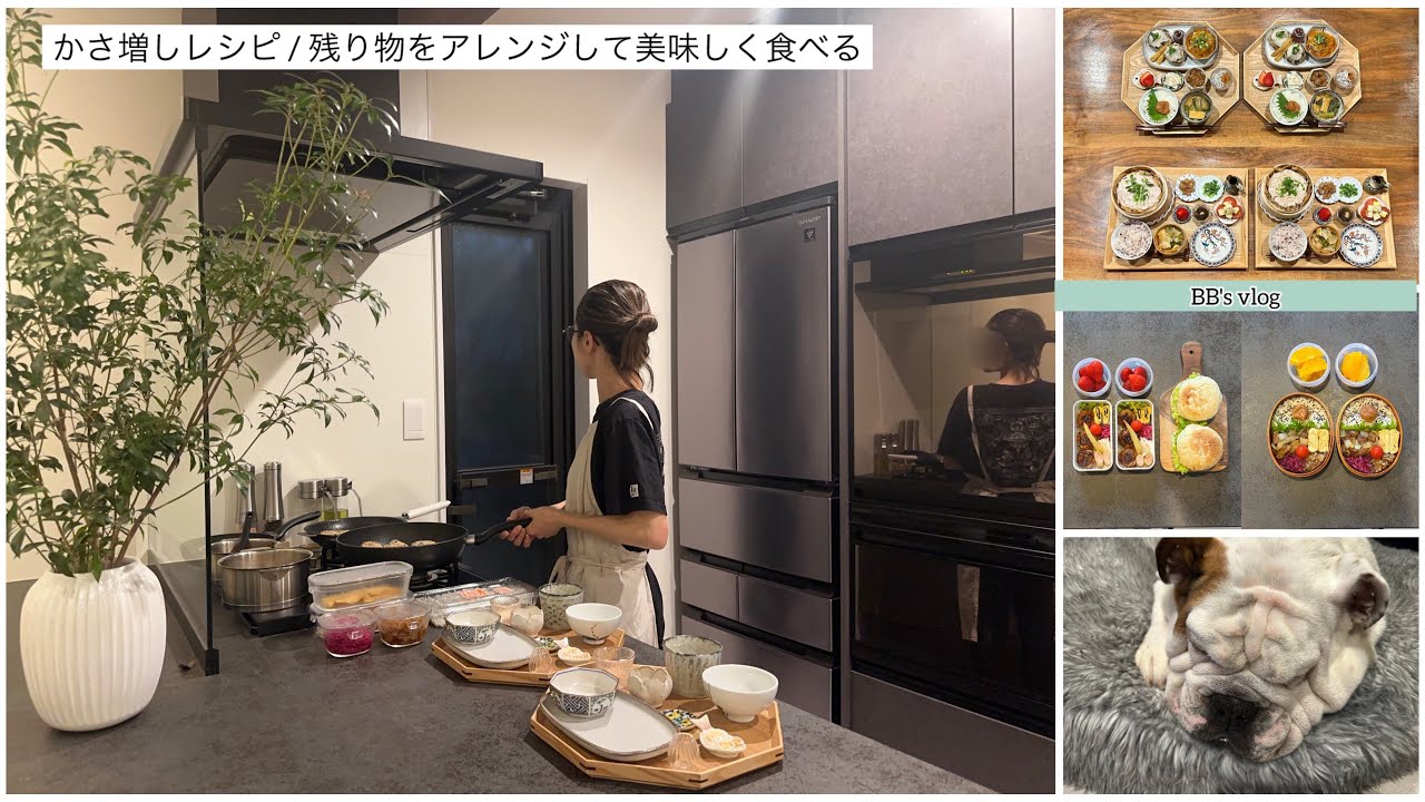 【主婦vlog】かさ増しレシピ👩‍🍳残り物をアレンジして美味しく食べる🍚ご飯とお弁当🍱