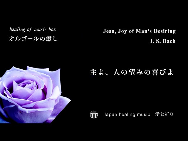 癒しオルゴール】「主よ、人の望みの喜びよ」高音・キラキラ