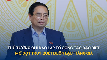 Thủ tướng chỉ đạo lập tổ công tác đặc biệt, mở đợt truy quét buôn lậu, hàng giả | VTVIndex