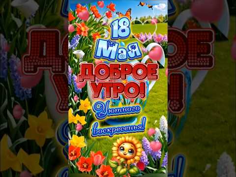 С добрым утром воскресенья, мои хорошие!🦋☕️🍫#доброеутро #сдобрымутром #популярное #рекомендации