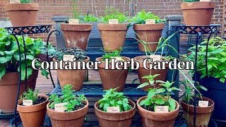 Creating A Container Herb Garden🪴 Growing Herbs in Pots