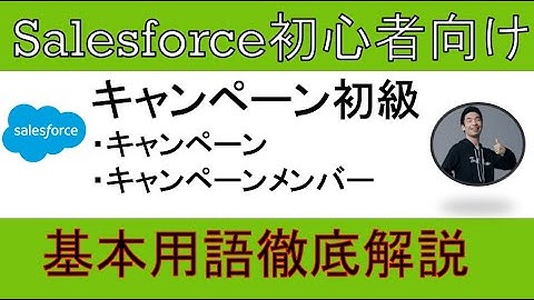 【キャンペーン初級】Salesforce解説【初心者向け】