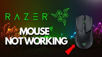 Fix RAZER Wireless/USB Mouse Not Working in Windows 11/10 [Solution]
