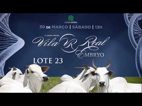 LOTE 23 - VRI 728