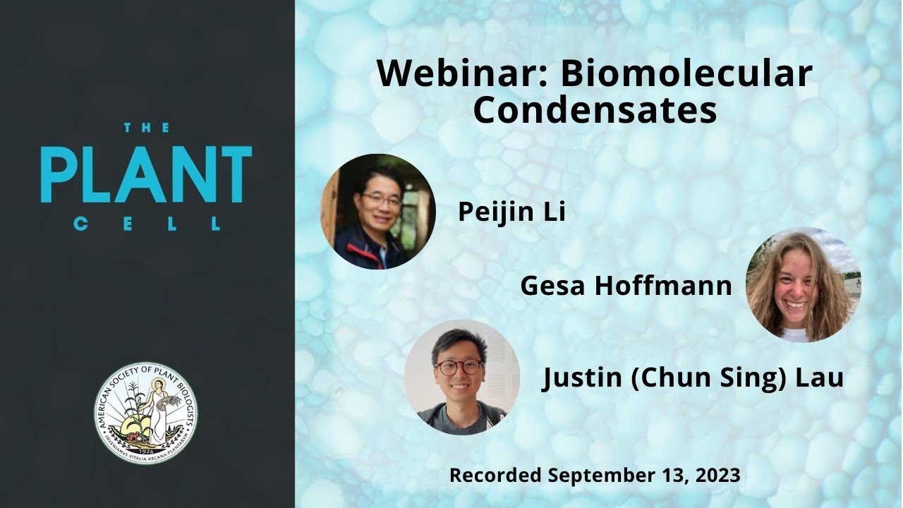 Plant Cell Webinar: Biomolecular Condensates