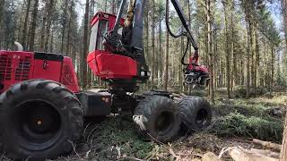 Vollmechanisierte Holzernte mit M.Ruch GmbH 🪓🌲🇨🇭🪵