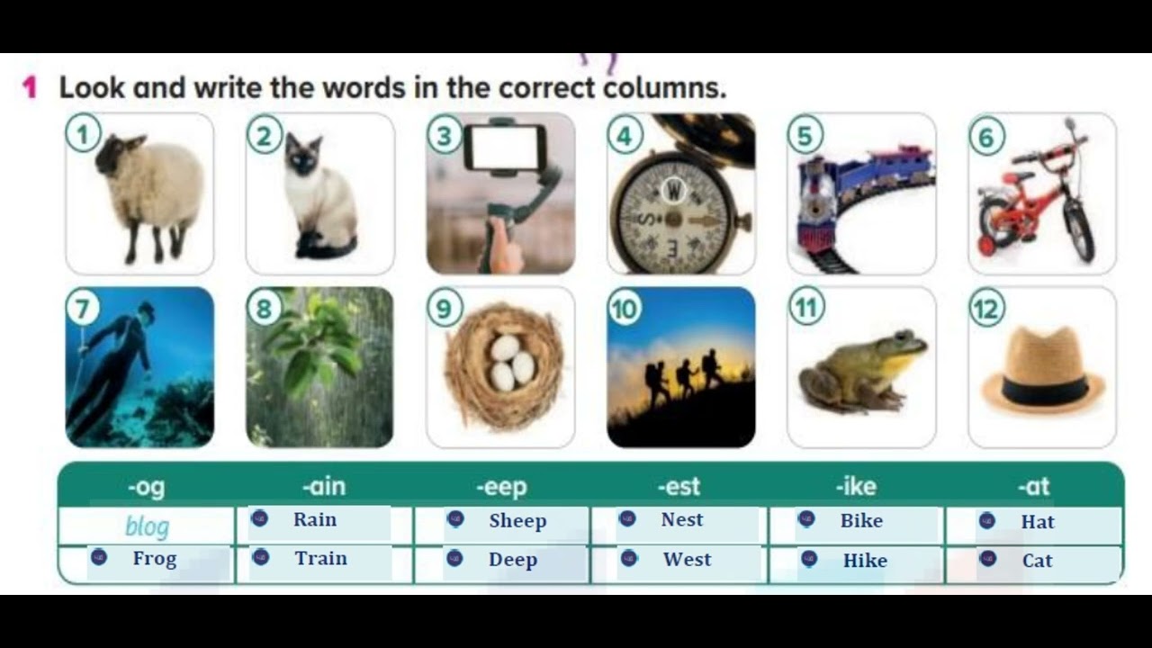 Look and write the words in the correct columns - YouTube