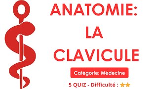ANATOMIE: LA CLAVICULE - Catégorie: Médecine - 5 QUIZ - Difficulté : ⭐⭐