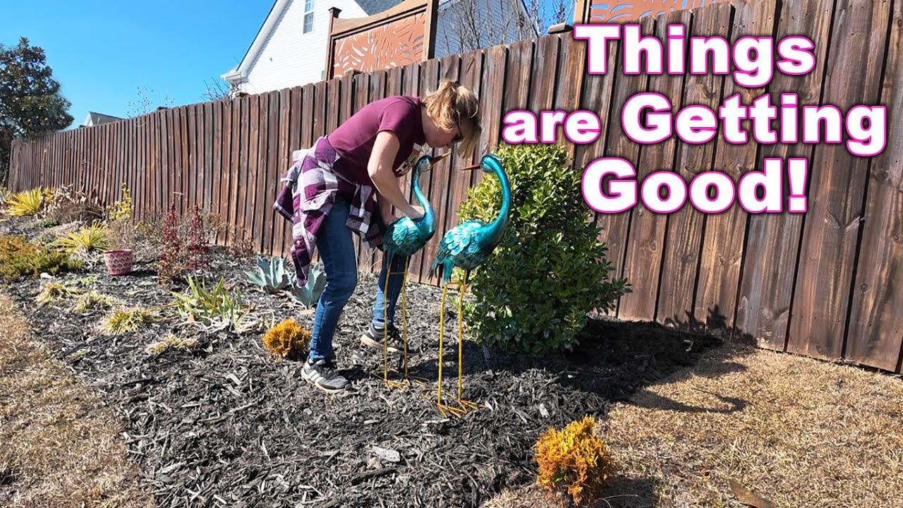 В воздухе уже чувствуется приближение сезона садоводства | Мой сад в Каролине