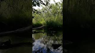 Alla Scoperta Del Carso Monfalconese