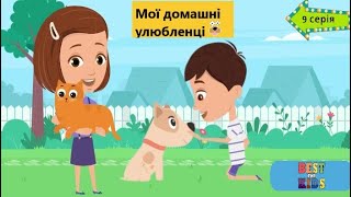 Мої друзі - домашні улюбленці🐾Розвиваючі мультики українською