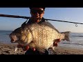 THE BEST TIME to go SURF FISHING (GIGANTIC FISH)