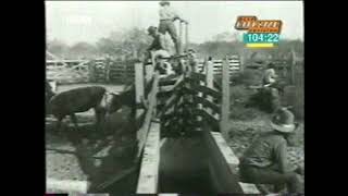 Cattle Ranchers and Homesteaders on the American West