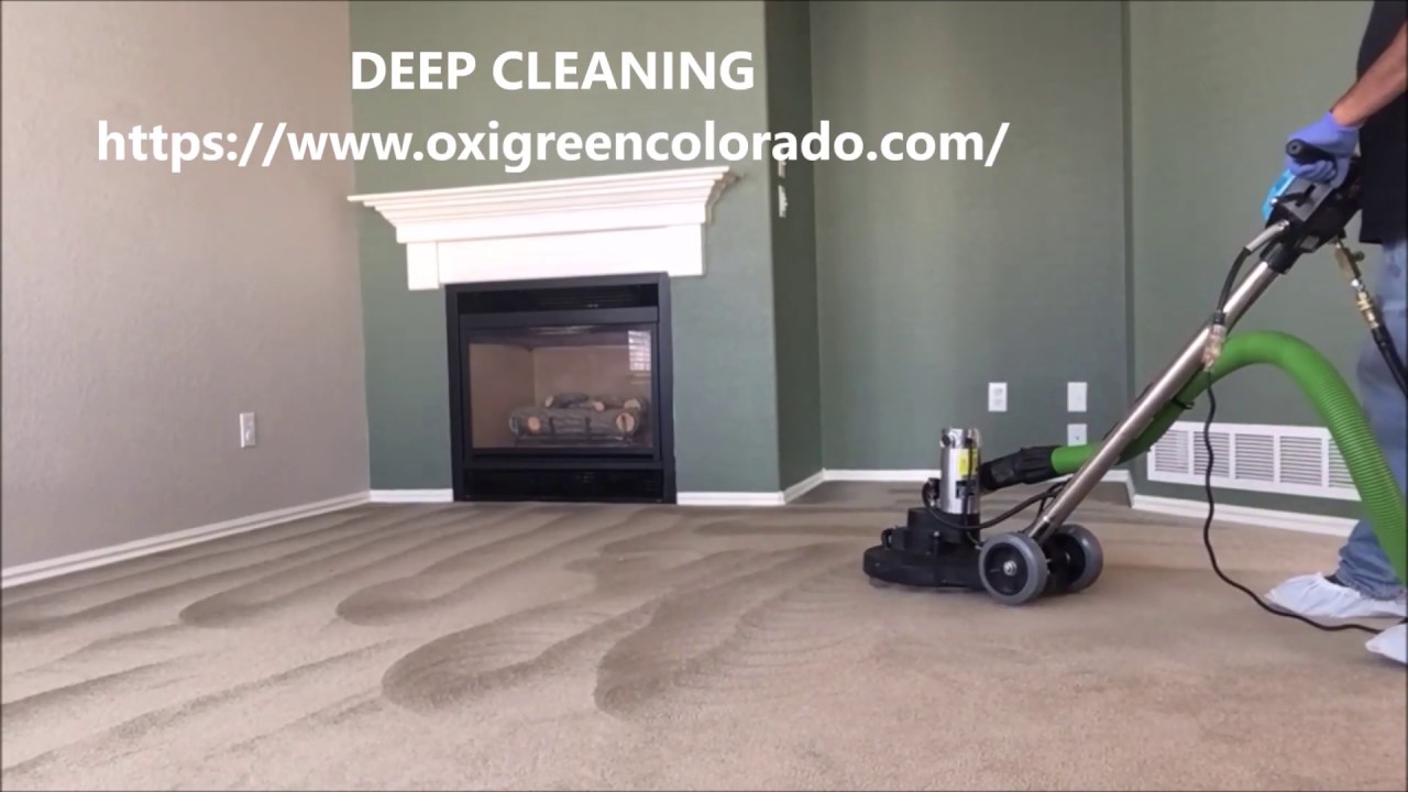 carpet cleaning pet odor carpet repair stretching YouTube
