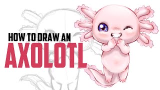 How to Draw an AXOLOTL