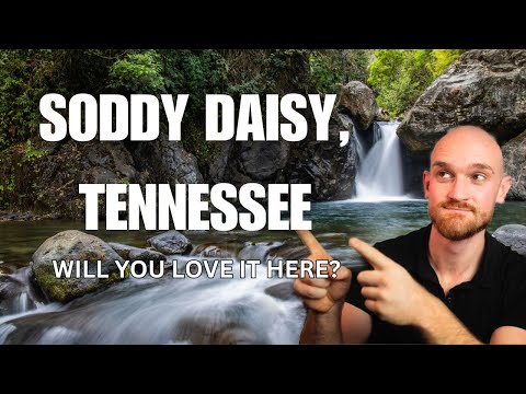 Pros and Cons of Living in Soddy Daisy, Tennessee