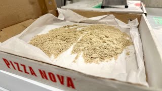 👀Watch as I Make Bubble Hash with Leftover Trimmings! #bubblehash #amateurhashmaker #CANNada