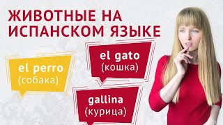 Животные на Испанском Языке. Дикие и домашние животные на испанском.