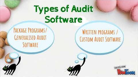 Computer-Assisted Audit Technique ( CAAT )