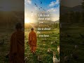 🟠 #learning through #experiences, #observations #realities and #truth of #life in #quotes
