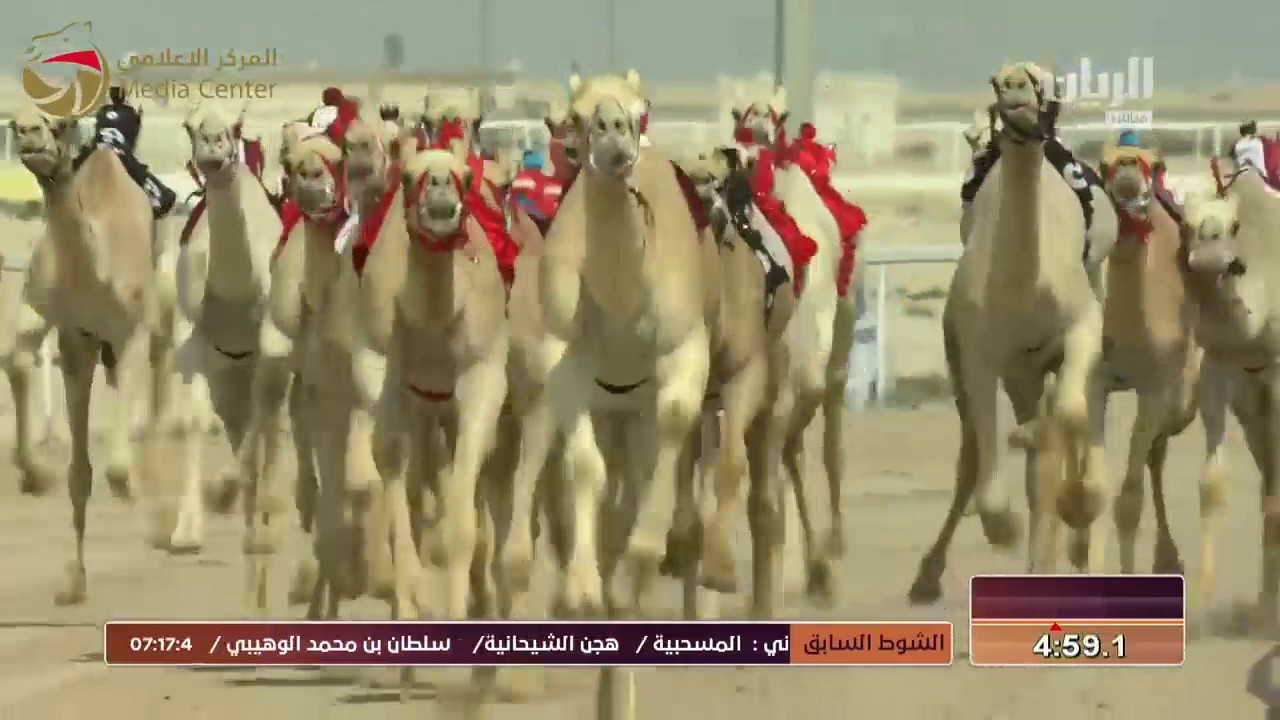 ختامي الشحانية – لقايا للشيوخ 7-3-2017 م- ش2 الغزال لـ هجن الرئاسة- محمد عتيق زيتون 7:12:9