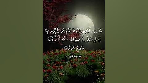 #بلغوا_عني_ولو_آيه بصوت هشام مجدي الآية ١٠٠ الي ١٠٦ من سورة التوبة