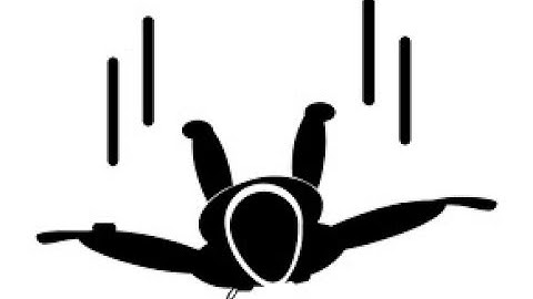 Module 13 BONUS  Free Fall