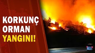 Mersinde Orman Yangını A Haber A Haber